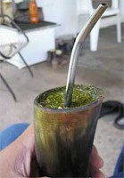 /album/brasil/cozinha-brasileira-centro-oeste-terere-jpg/